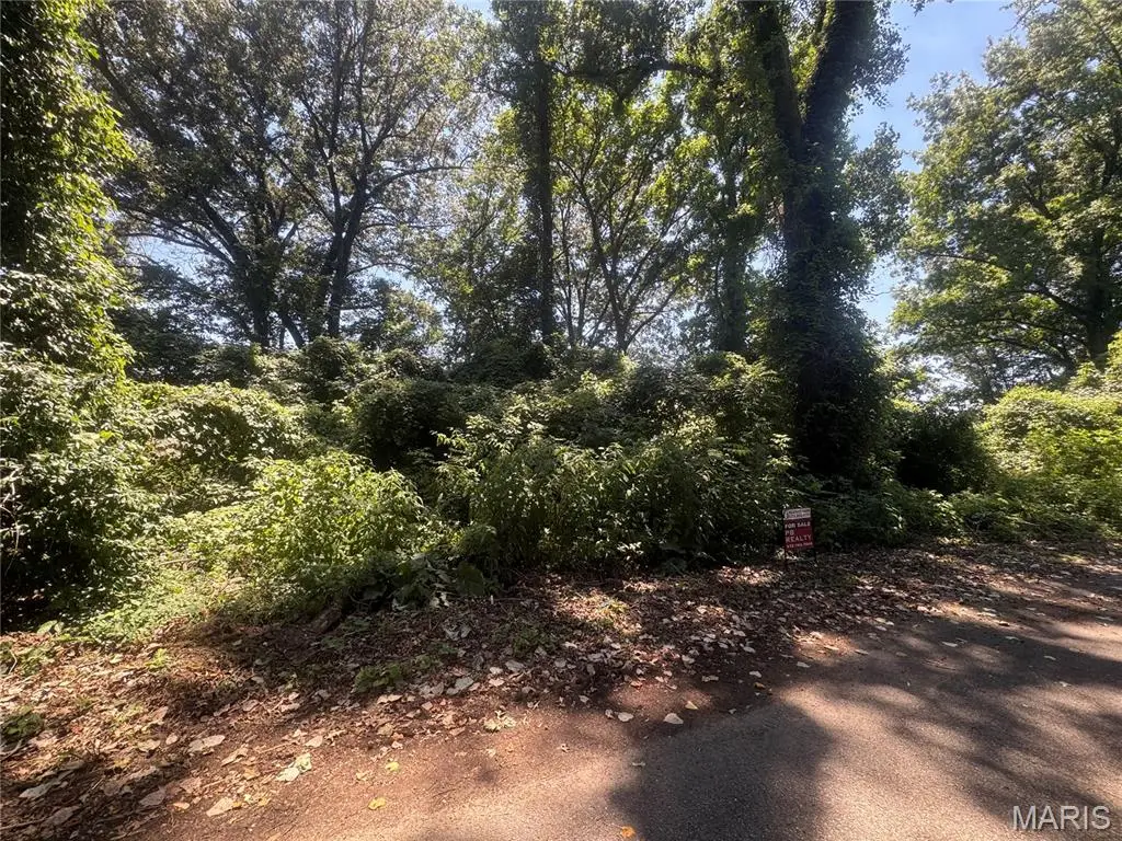 Lots 10,11 S Side International, Poplar Bluff, MO 63901 - #1