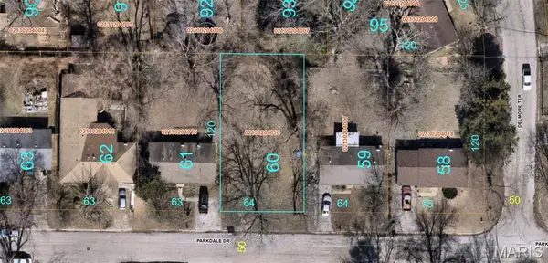 8713 Parkdale Drive, Caseyville, IL 62232