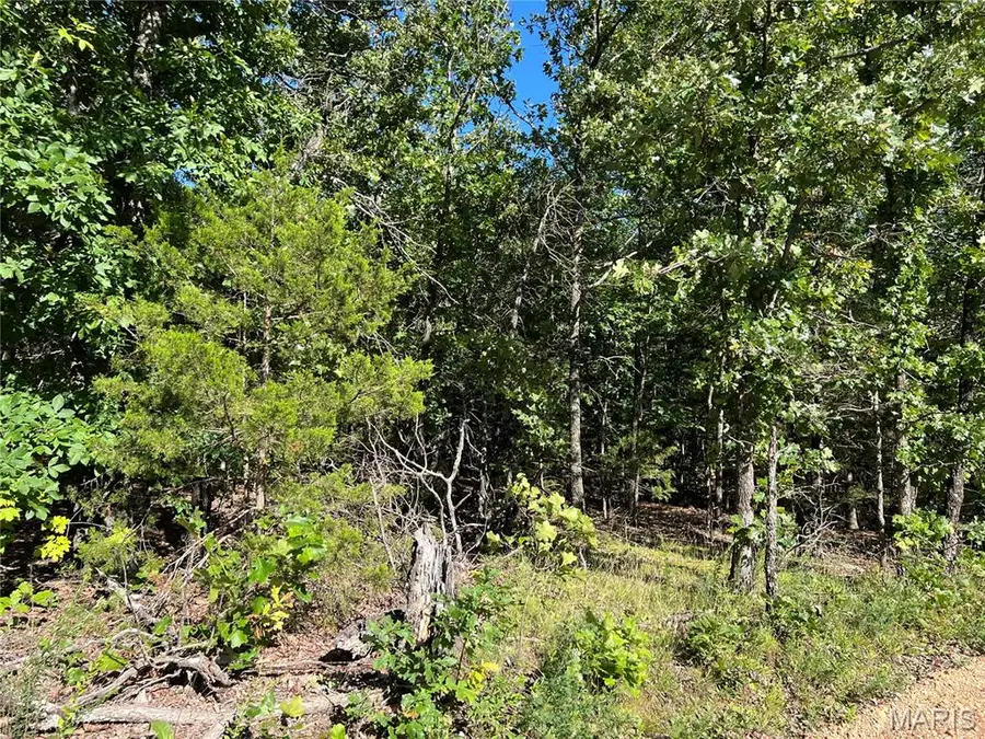 21220 Neal Dr, Lebanon, MO 65536 - #2