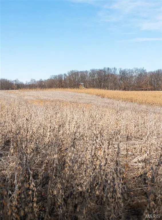 00 TBD Jubilee, Buchanan, MO 63545 - #3