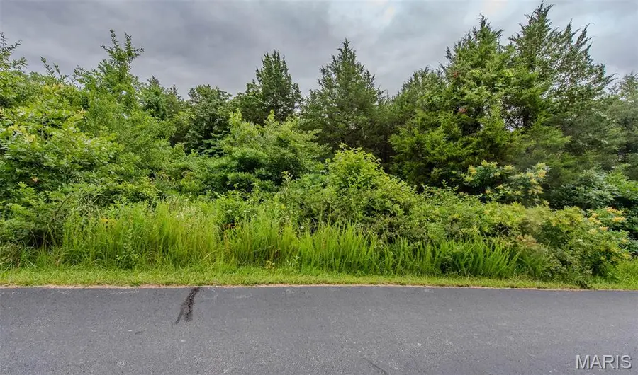 518 Winding Woods Court, Saint Clair, MO 63077 - #2