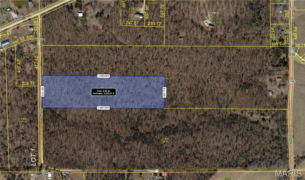 21200 Neal Dr, Lebanon, MO 65536 - #1