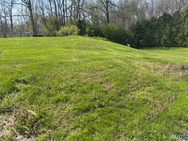 112 Blaine Street, Pocahontas, IL 62275 - #2