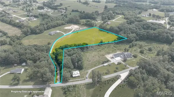0 County Road 318, Cape Girardeau, MO 63701