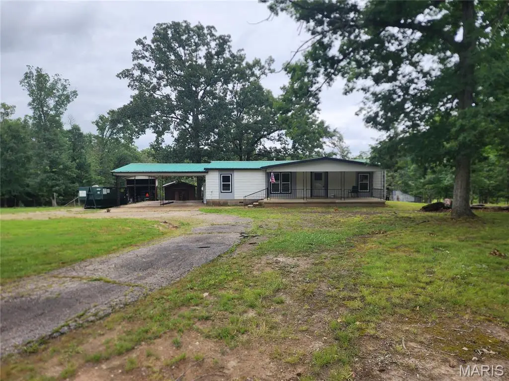 1131 Wayne Route V, Piedmont, MO 63957 - #1