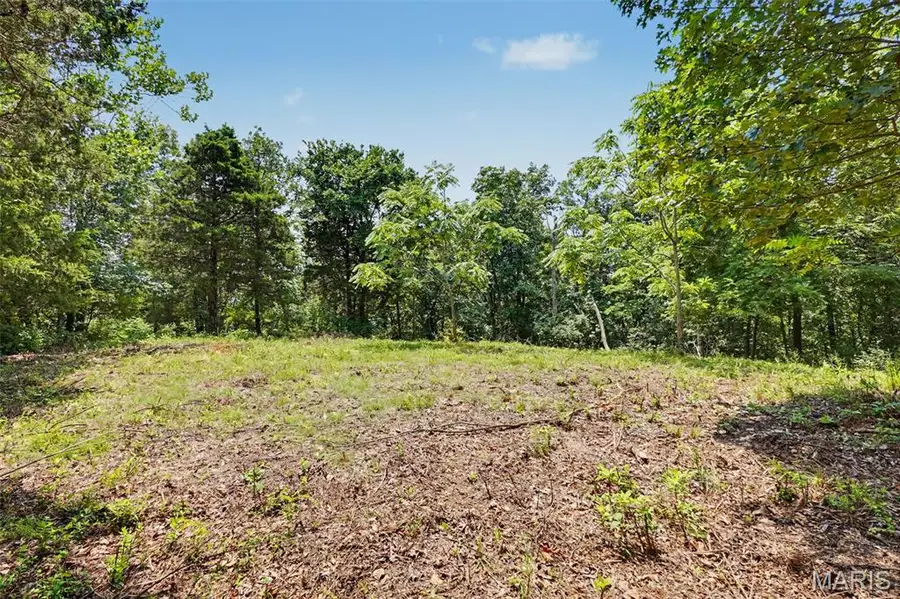 1410 Saint Paul Road, Ballwin, MO 63021 - #2