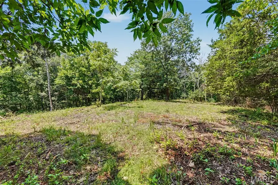 1410 Saint Paul Road, Ballwin, MO 63021 - #3