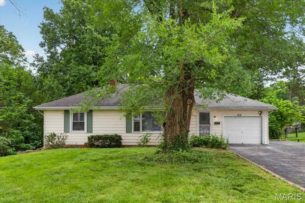 814 Arminda Avenue, Kirkwood, MO 63122 - #1