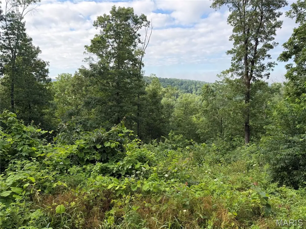 CR 453 Lots 393,394,395,396 & 729,730,731, Piedmont, MO 63957 - #1