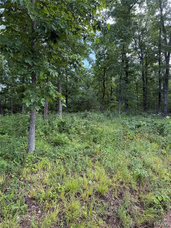 CR 453 Lots 393,394,395,396 & 729,730,731, Piedmont, MO 63957 - #2
