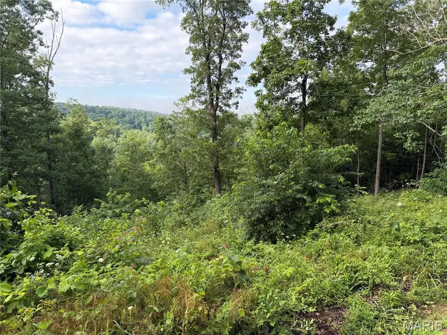 CR 453 Lots 393,394,395,396 & 729,730,731, Piedmont, MO 63957 - #3