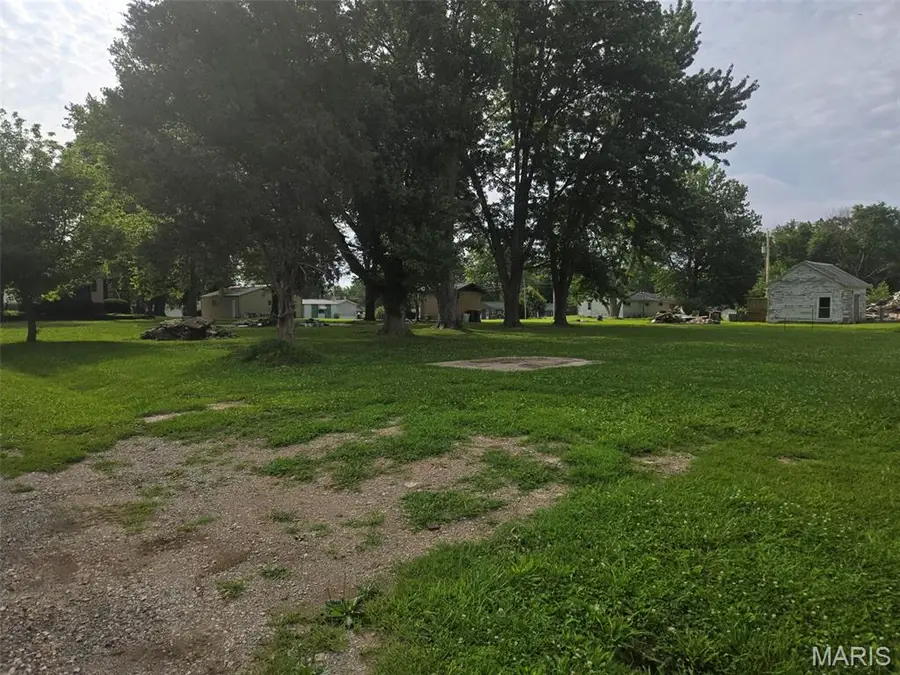 0 4th Street, Keyesport, IL 62253 - #2