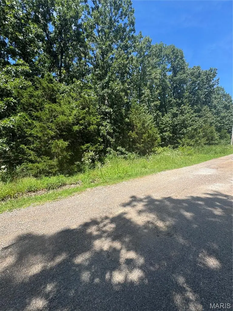 641 Briarwood Drive, Saint Clair, MO 63077 - #2