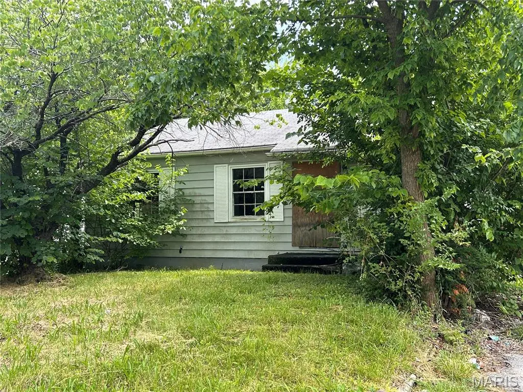 442 Cameron Road, Saint Louis, MO 63137 - #1