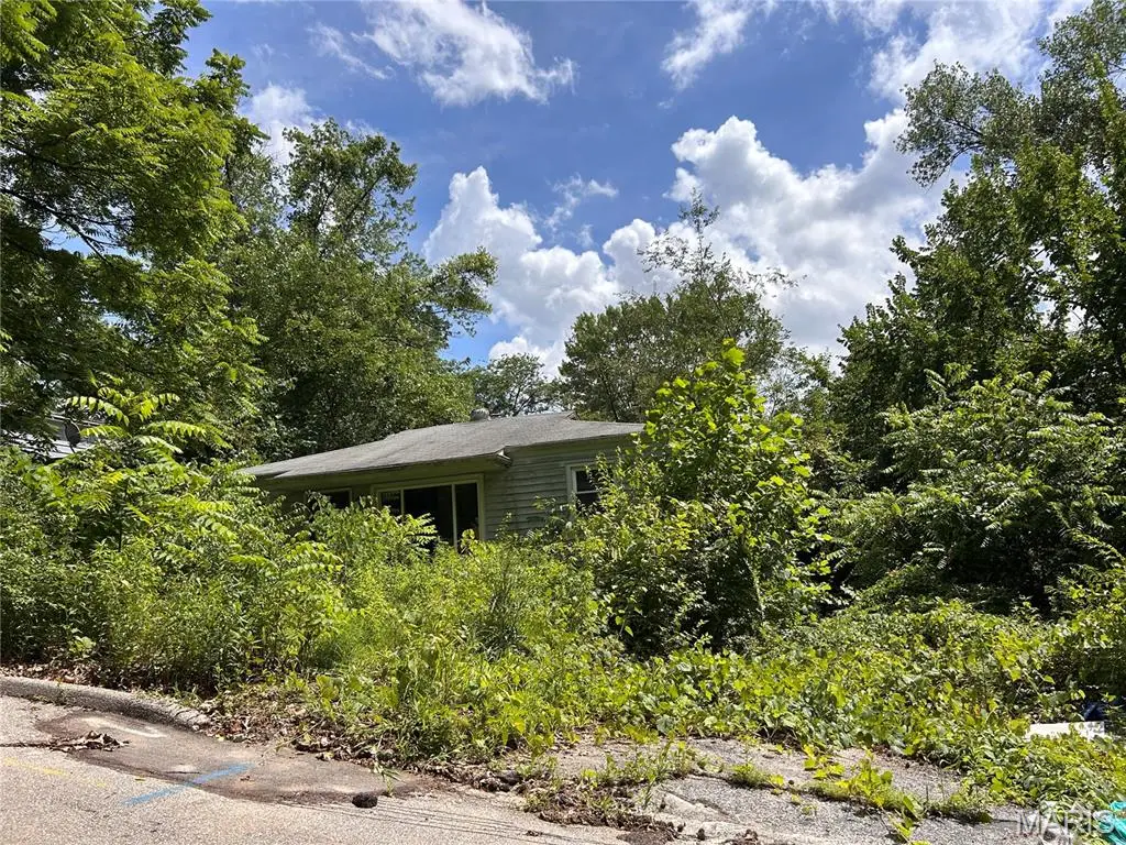 288 Habecking Drive, Saint Louis, MO 63137 - #1