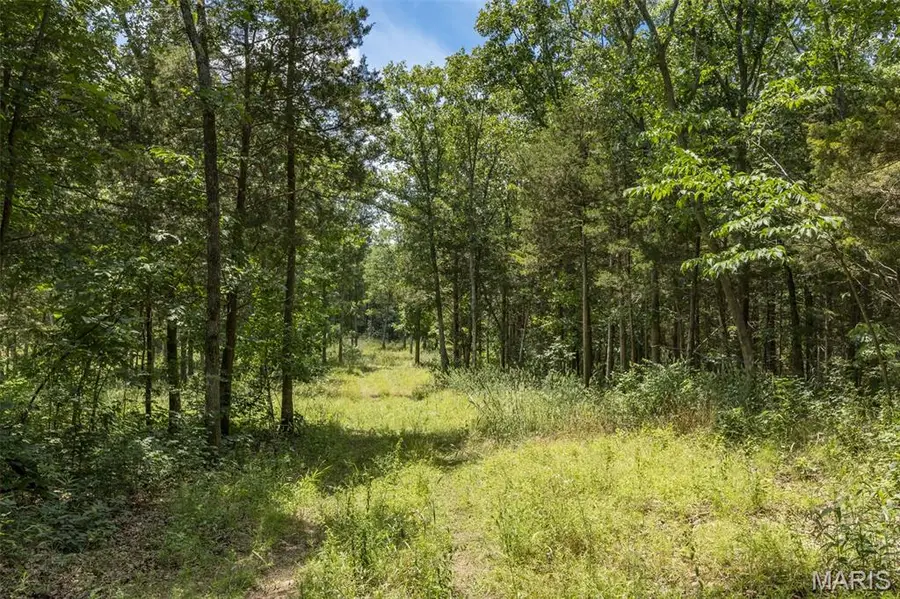 0 Dodson, De Soto, MO 63020 - #3