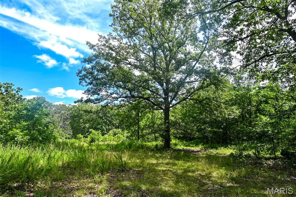 5760 NE 817 Private Road, Osceola, MO 64776 - #1