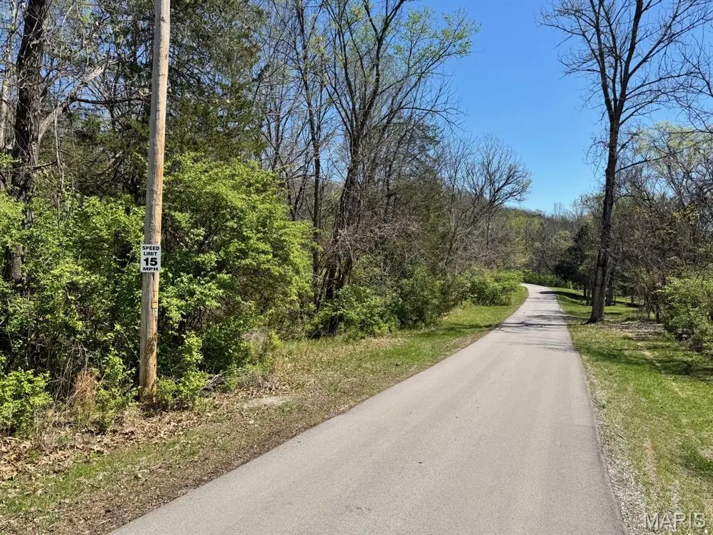 3631 Antonia Valley Court, Imperial, MO 63052 - #1