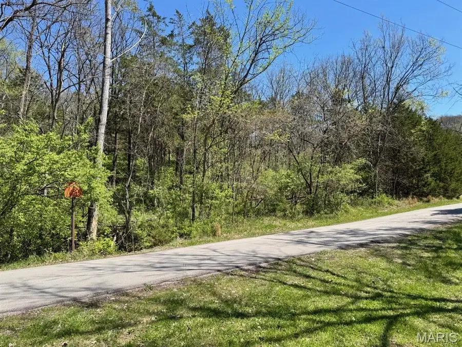 3631 Antonia Valley Court, Imperial, MO 63052 - #2