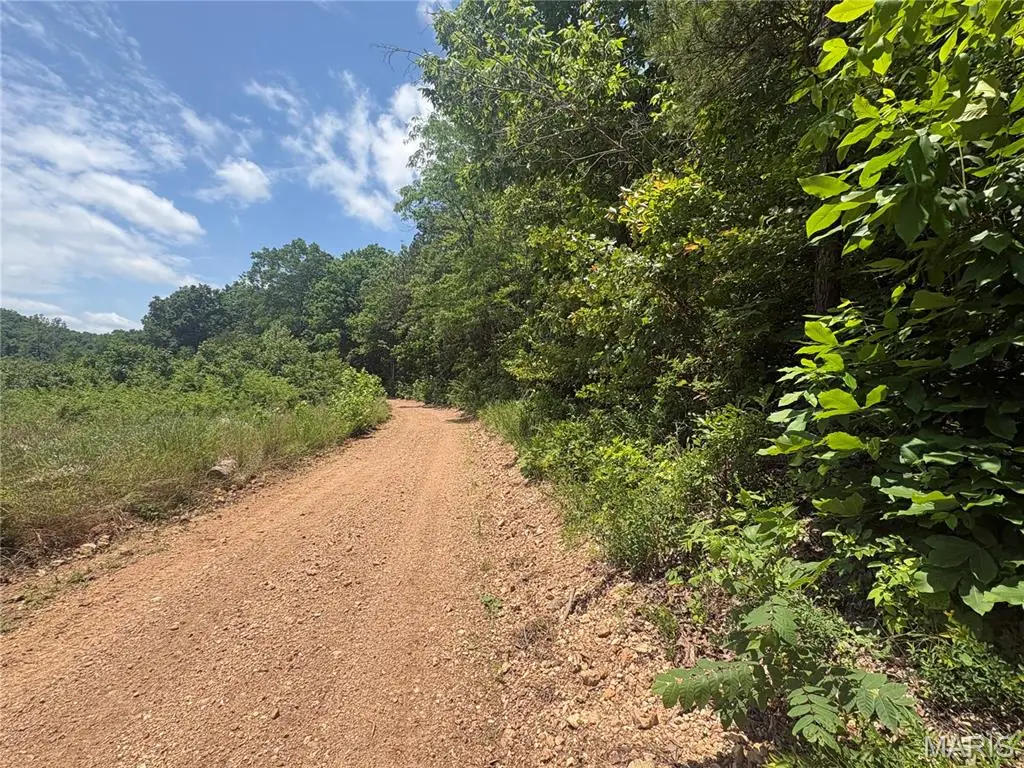 0 County Road 404, Ellington, MO 63638 - #1