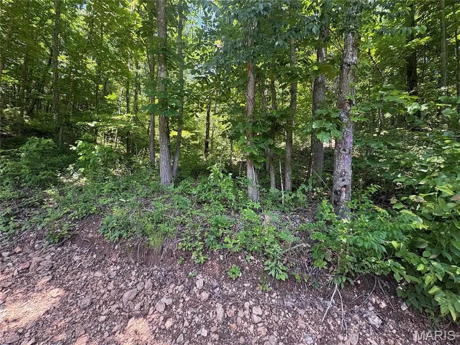 0 County Road 404, Ellington, MO 63638 - #3