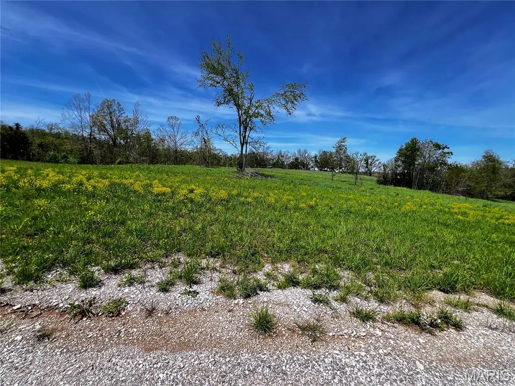 1009 Legacy Lane, Perryville, MO 63775 - #1