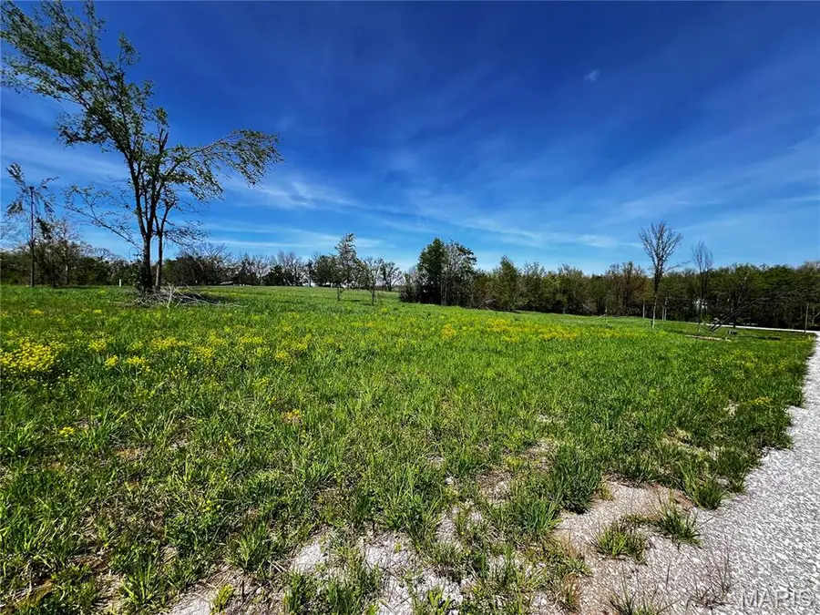 1009 Legacy Lane, Perryville, MO 63775 - #3