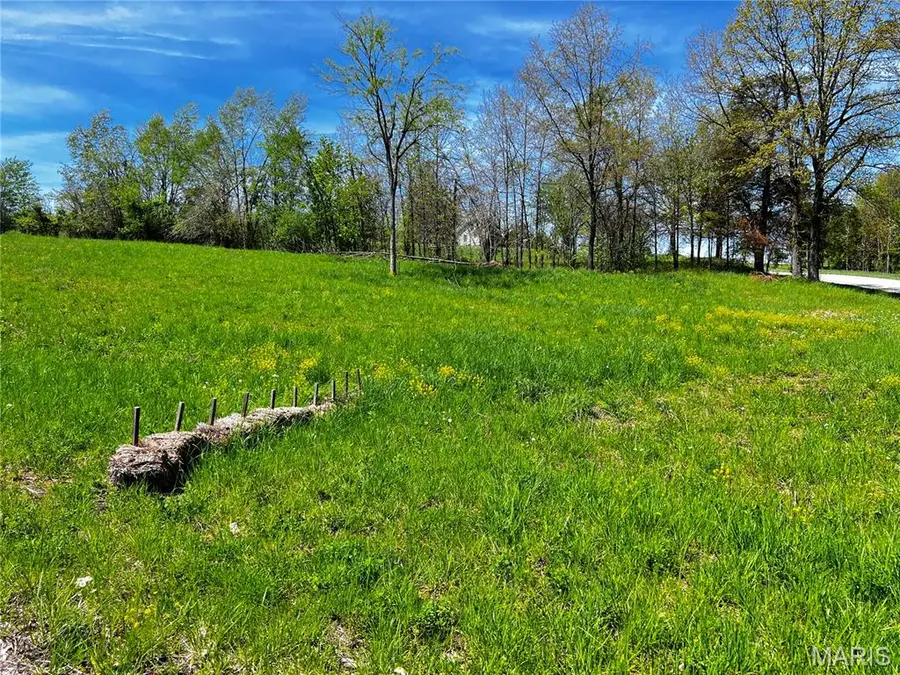 1001 Legacy Lane, Perryville, MO 63775 - #2