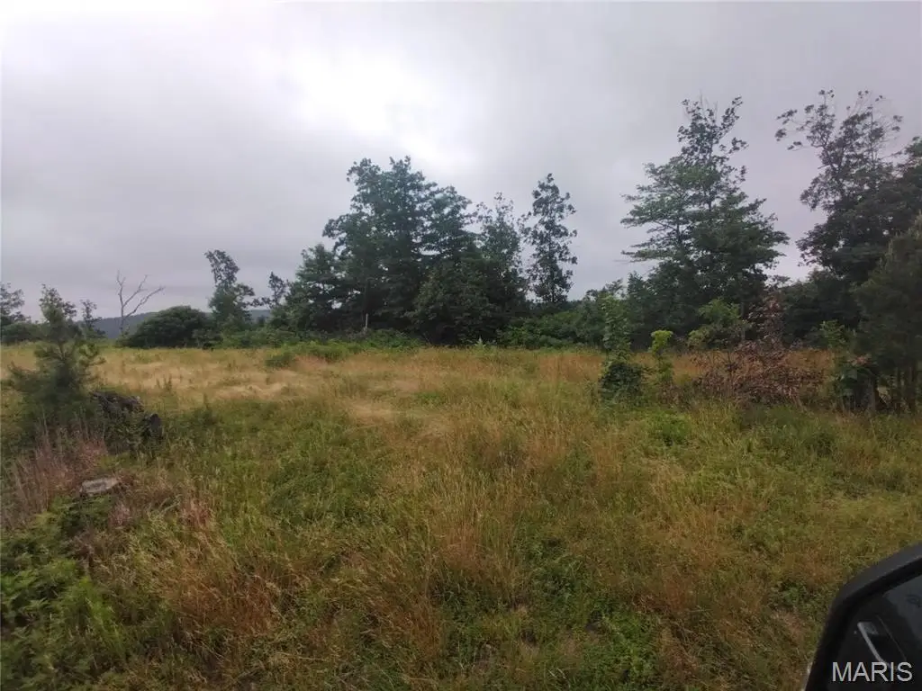 Tract 4 Off Highway O, Belleview, MO 63623 - #1
