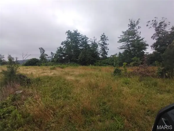 Tract 4 Off Highway O, Belleview, MO 63623