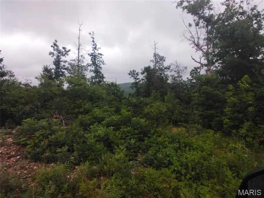 Tract 4 Off Highway O, Belleview, MO 63623 - #2