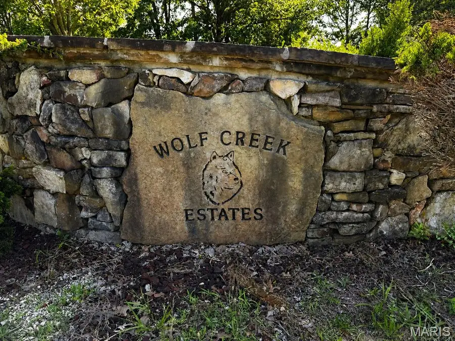 Lots 10 & 11 Timberwolf Drive, Poplar Bluff, MO 63901 - #2
