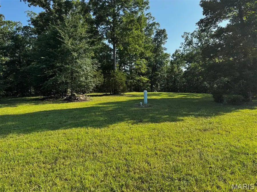 Lots 10 & 11 Timberwolf Drive, Poplar Bluff, MO 63901 - #3