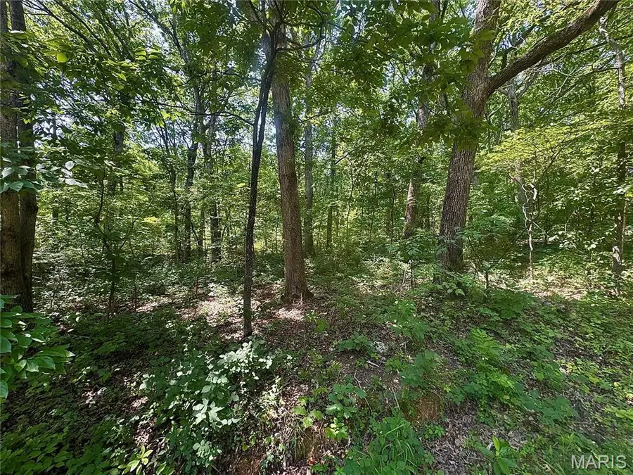 0 Rue Irene, Bonne Terre, MO 63628 - #3
