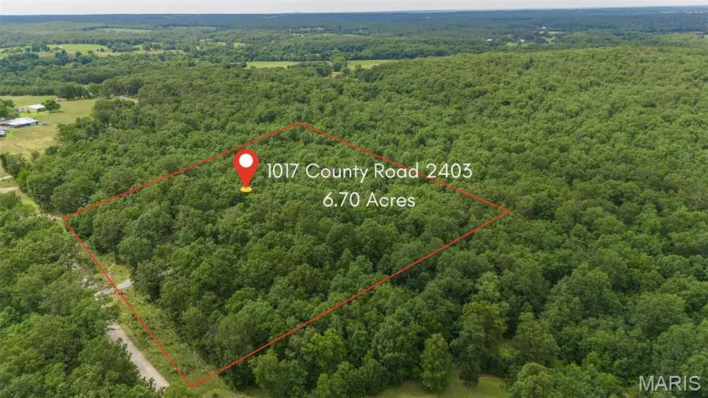 1017 County Road 2403, Salem, MO 65560 - #1