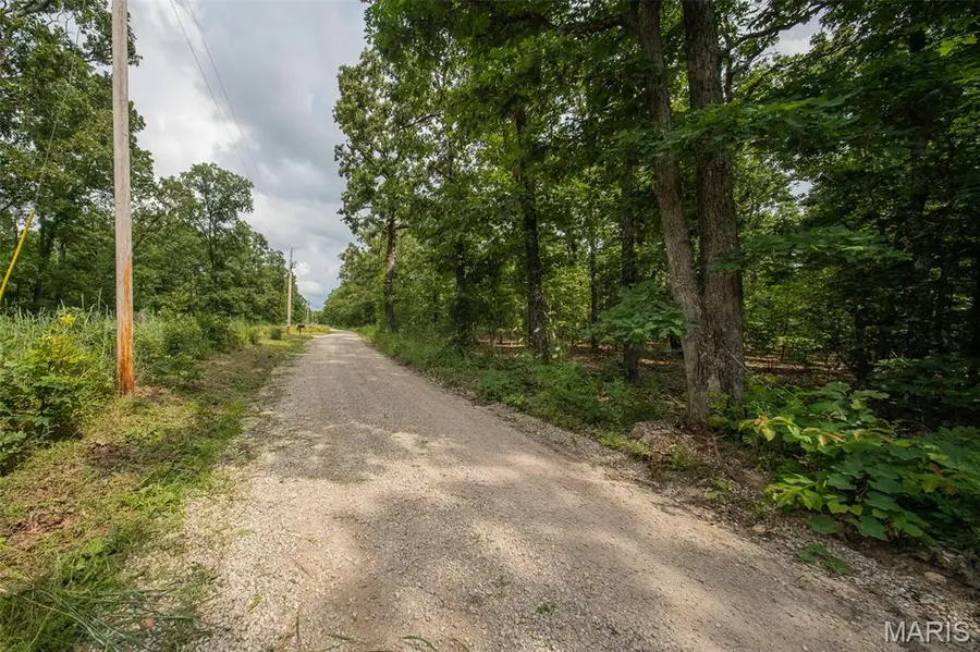1017 County Road 2403, Salem, MO 65560 - #2