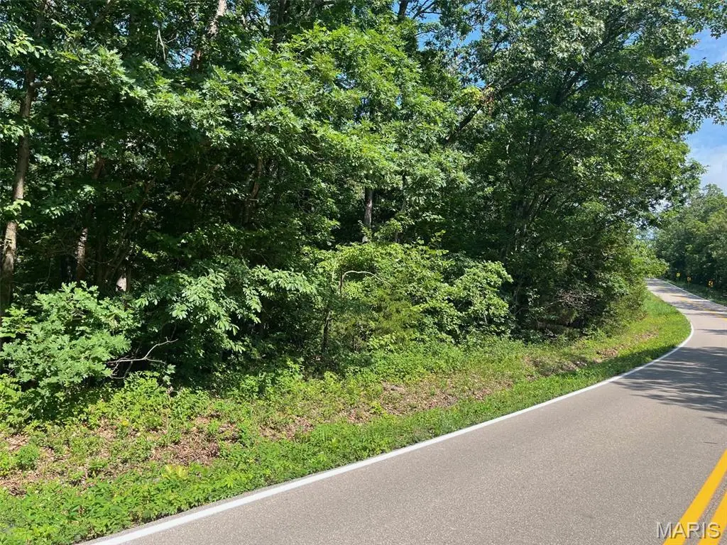 0 Hwy F Road, Potosi, MO 63664 - #1