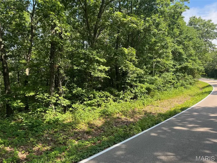 0 Hwy F Road, Potosi, MO 63664 - #2
