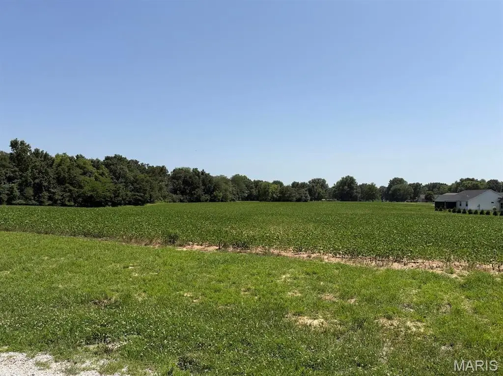 805 Wedgewood Lane, Trenton, IL 62293 - #1