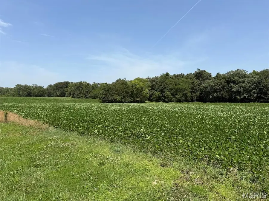 805 Wedgewood Lane, Trenton, IL 62293 - #3