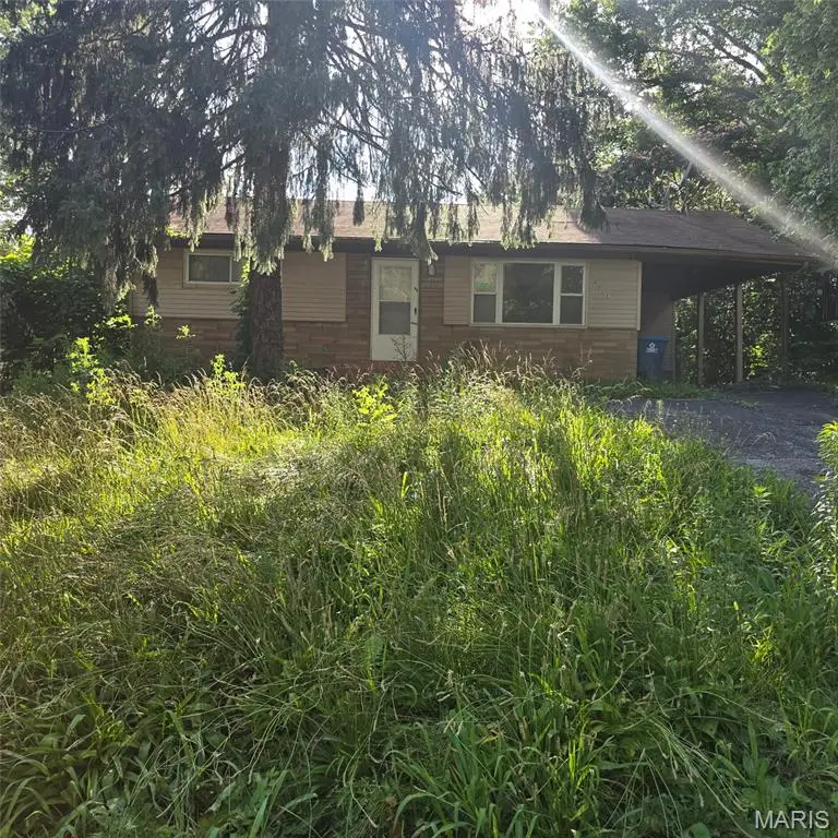 10125 Crown Point Drive, Saint Louis, MO 63136 - #1