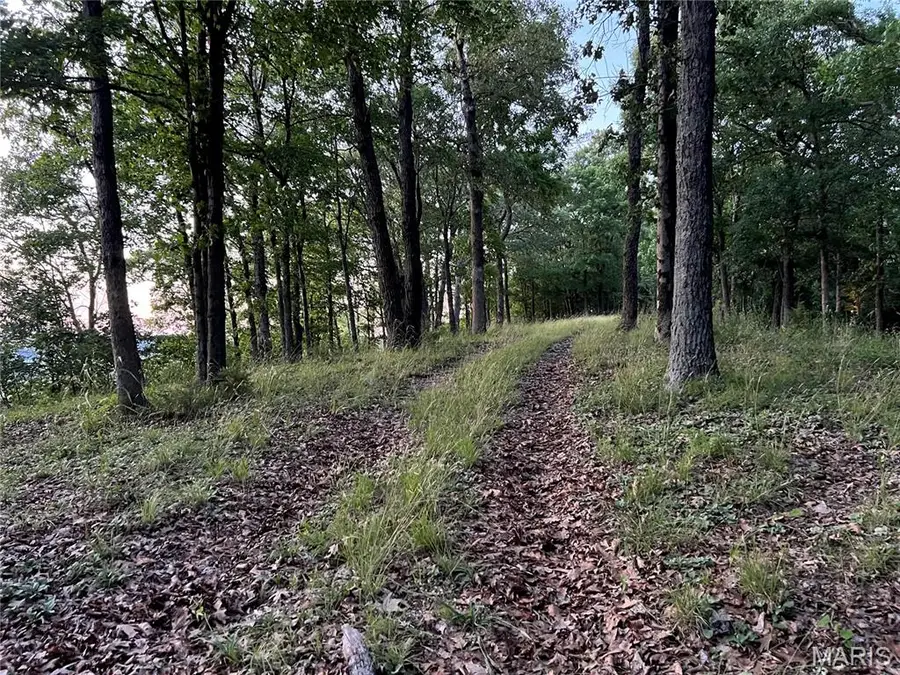 1055 Wings Road, Saint Albans, MO 63073 - #2