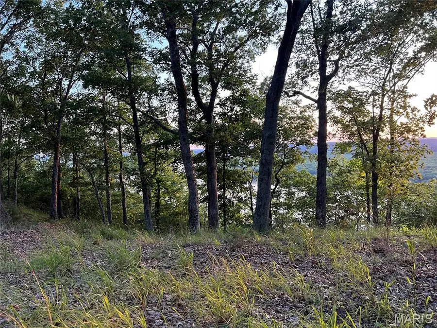 1055 Wings Road, Saint Albans, MO 63073 - #3