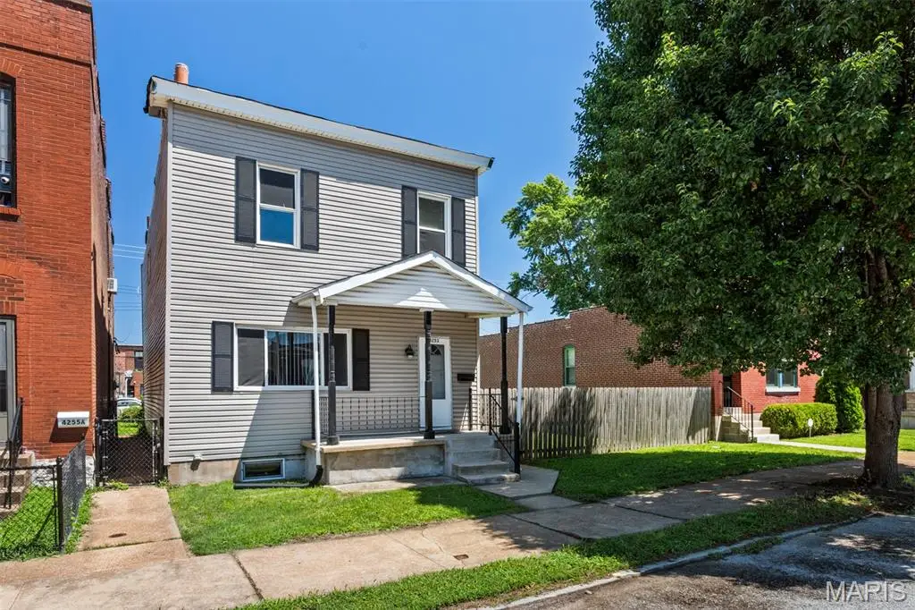 4253 Swan Avenue, Saint Louis, MO 63110 - #1
