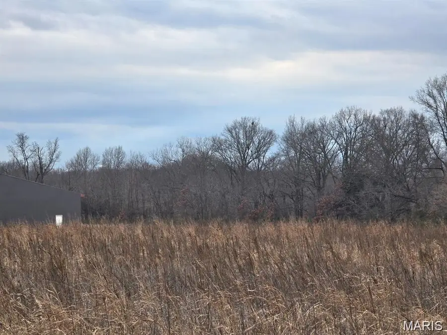 0 Two Mile Road, Dexter, MO 63841 - #2