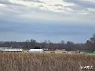 0 Two Mile Road, Dexter, MO 63841 - #3