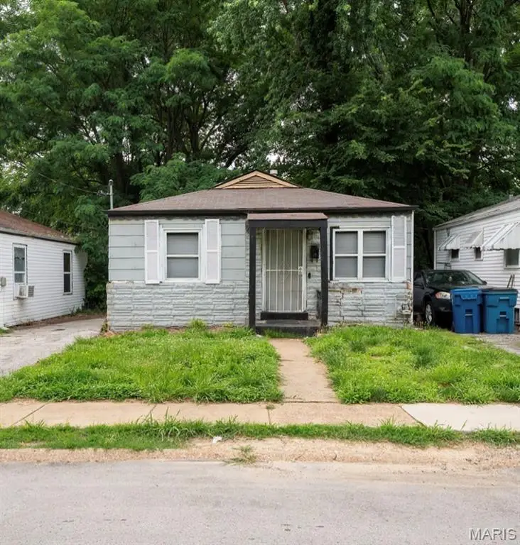 113 Anabel Avenue, Ferguson, MO 63135 - #1