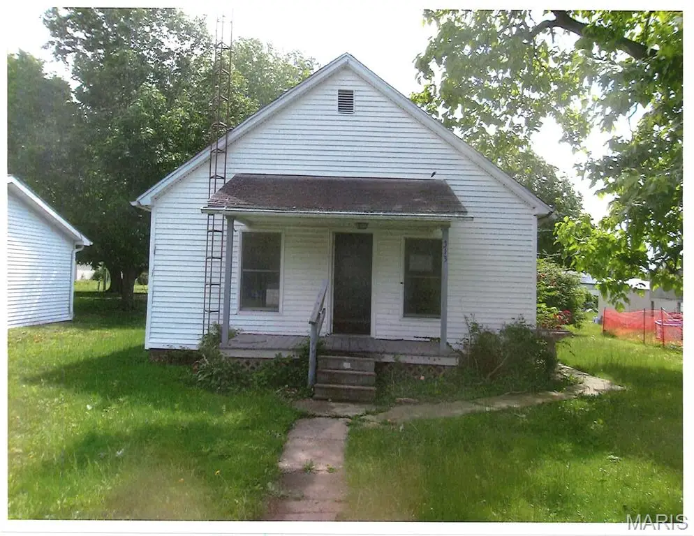 313 N 1st Street, Witt, IL 62094 - #1