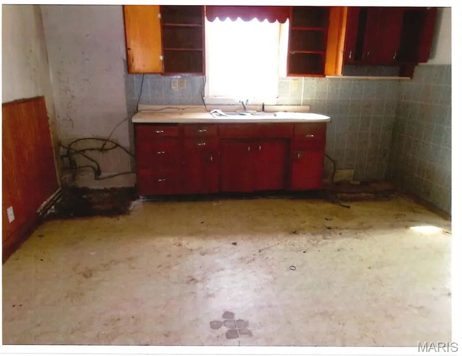 313 N 1st Street, Witt, IL 62094 - #3