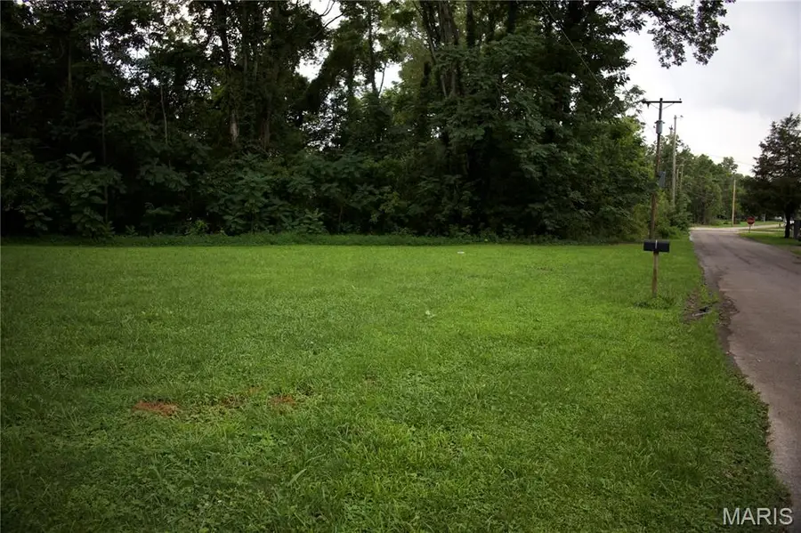 0 Parker Ave E, Chaffee, MO 63740 - #2